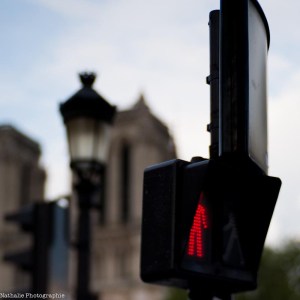 20130909 that little red touch-13