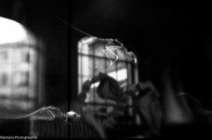 20131209 ôétique du déplacement-2