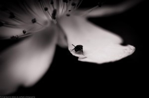 20140615 c'est dimanche-3