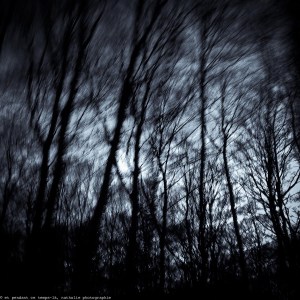 201502012 humer web-2