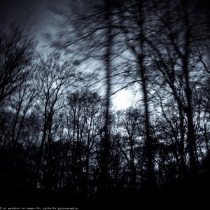 201502012 humer web-3