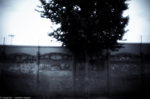 20150827 promenade avec Rimbaud en bandoulière web-3