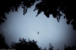 20150827 promenade avec Rimbaud en bandoulière web-4