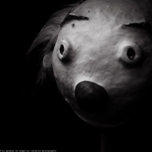 20150923 visages marionnettiques web-4