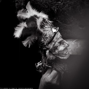 20150923 visages marionnettiques web-8