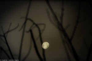 201608114 il y aura toujours la lune web